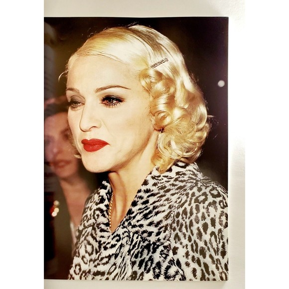 A Tribute To Madonna BOOK Gold Collectors Series Viva Evita Rare 1st-ed HTF VGC - Picture 5 of 9